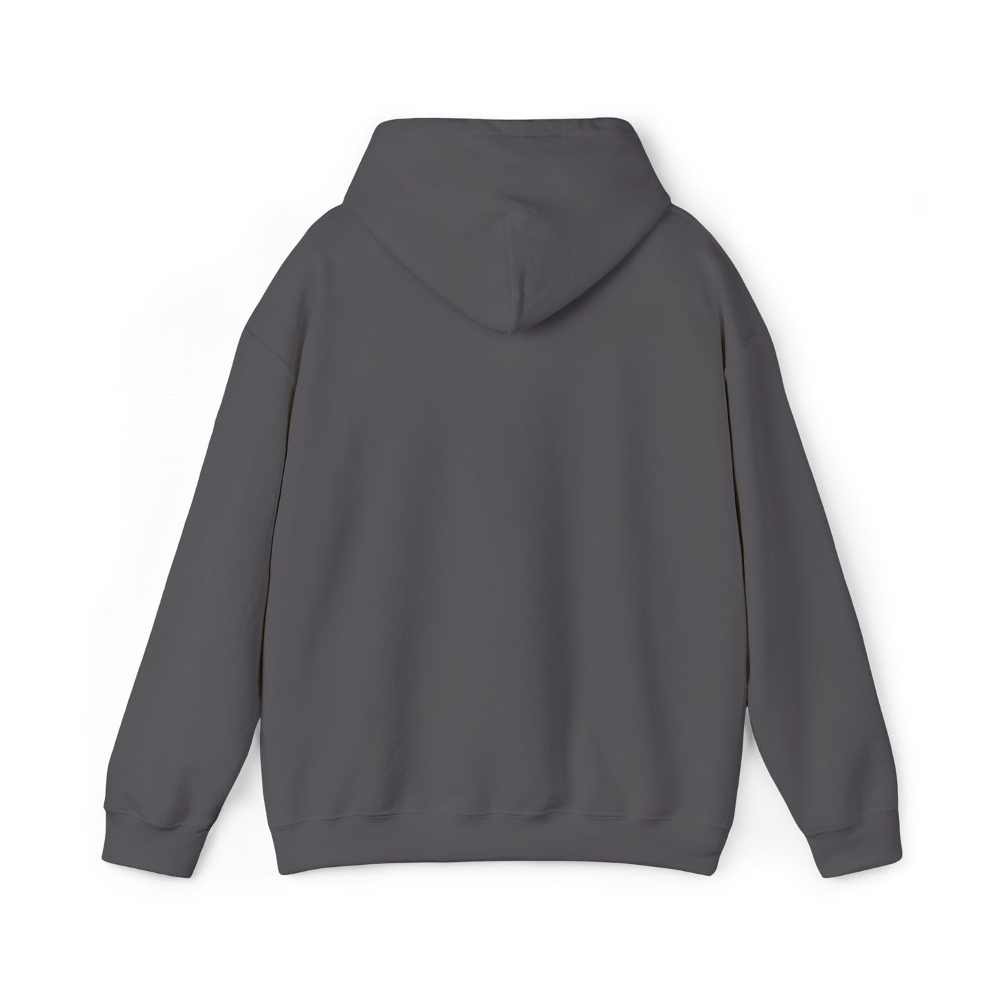 St. Thomas School - Sanford, ME Hoodie (Adult Sizes)
