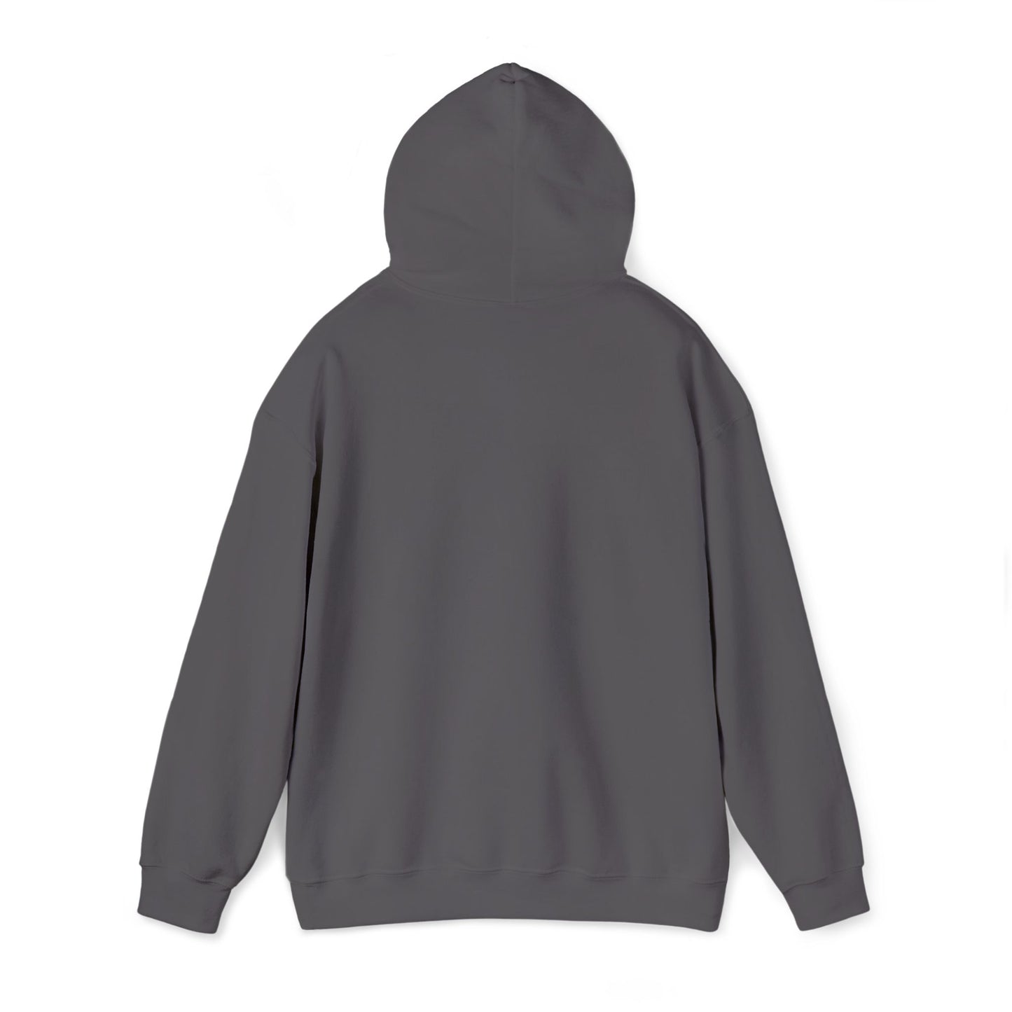 St. Thomas School - Sanford, ME Hoodie (Adult Sizes)